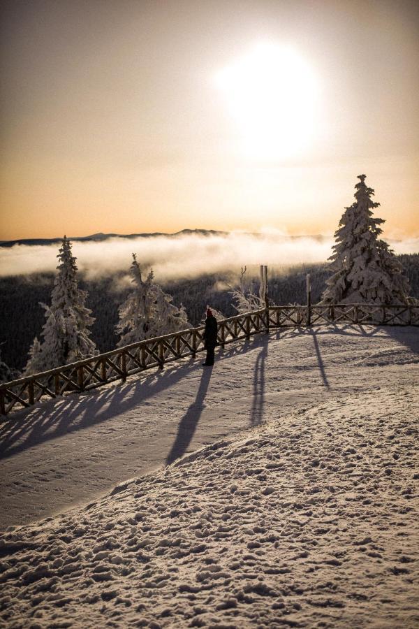 Aparthotel Ski&sun *